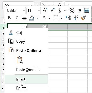 Insert rows in excel Step 2